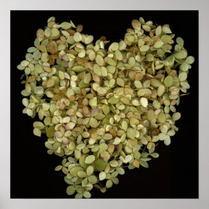 Poster Cartaz Botânico Coração de Hortênsia  Lovely2