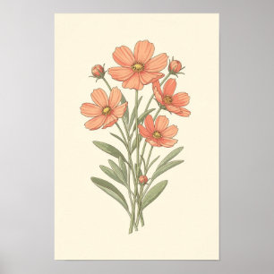 Poster Cartaz Botânico Coral Cosmos e Sage