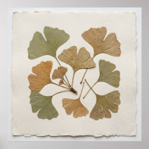 Poster Cartaz Botânico de Folha de Ginkgo