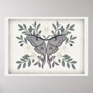 Poster Cartaz Botânico de Lírio de Marfim de Mariposa de