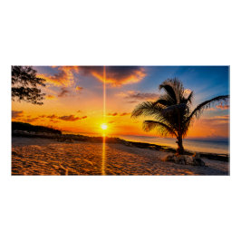 Pôster Cartaz Brilhante de Palma do Pôr do Sol do Caribe