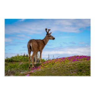 Pôster Cartaz Brilhante de Veado Cena de Flor Silvestre