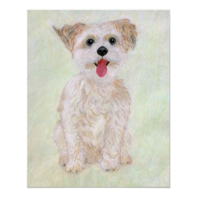 Pôster Cartaz Brilhante do Cão Morkie (Frente)