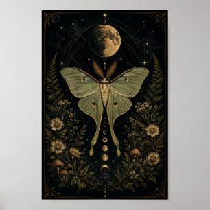 Poster Cartaz Celestial da Mariposa Luna Fase Lunar Mís