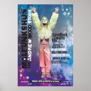 Pôster Cartaz cinematográfico 2