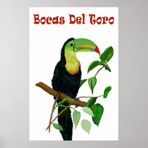 Poster Cartaz colorido & tropical de Panamas Toucan