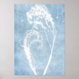 Poster Cartaz Coração de Planta Cianotipia Azul