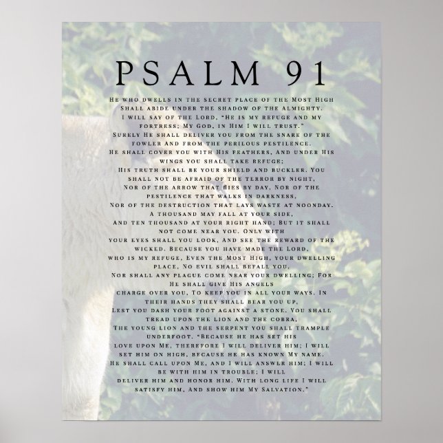 Poster Cartaz Cristão Cabeça de Leão Salmo 91 (Frente)