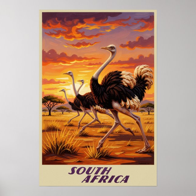 Poster cartaz da África do Sul (Frente)