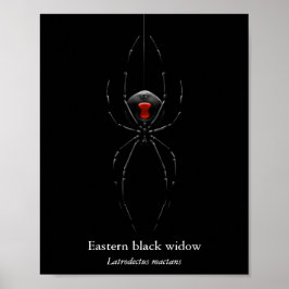 Poster Cartaz da Aranha Viúva Negra (Semi-Brilho)
