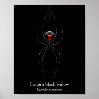 Poster Cartaz da Aranha Viúva Negra (Semi-Brilho)