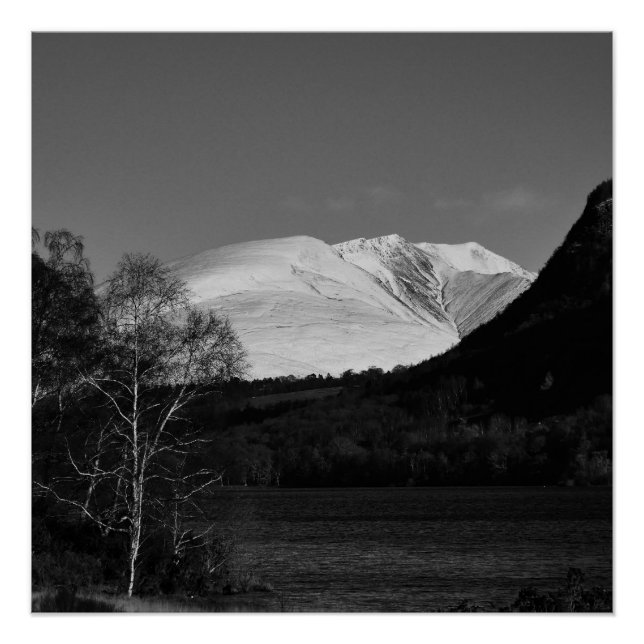 Pôster Cartaz da bétula e Blencathra (Frente)