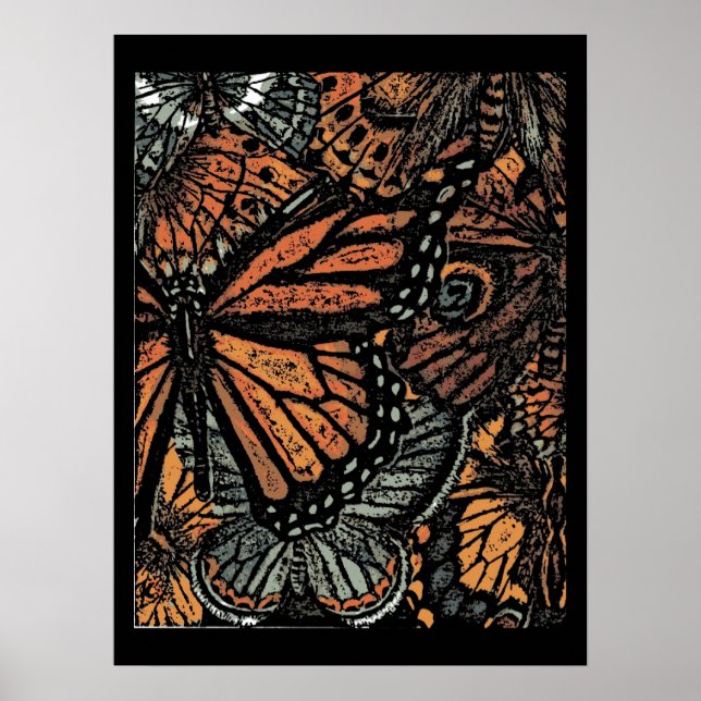 Pôster Cartaz da Borboleta Monarca (Frente)