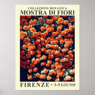 Poster Cartaz da Exposição Floral de Firenze