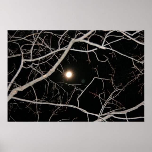 Pôster Cartaz da Lua Cheia na Web (Frente)