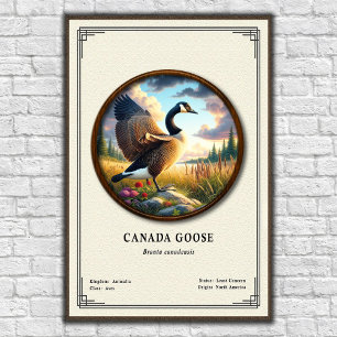 Poster Cartaz da Série de Zoologia do Ganso do Canadá