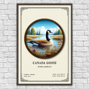 Poster Cartaz da Série de Zoologia do Ganso-do-Canadá