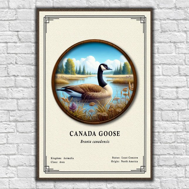 Poster Cartaz da Série de Zoologia do Ganso-do-Canadá (Criador carregado)