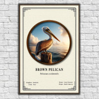 Cartaz da Série de Zoologia do Pelicano Marrom