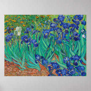 Poster Cartaz das Íris de Van Gogh