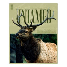 Cartaz de Alce do Parque Nacional Banff Indomado