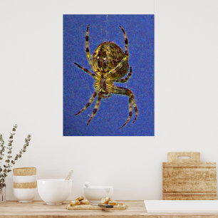 Pôster Cartaz de Aranha Orb