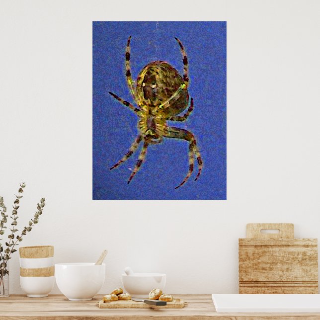 Pôster Cartaz de Aranha Orb (Cozinha)