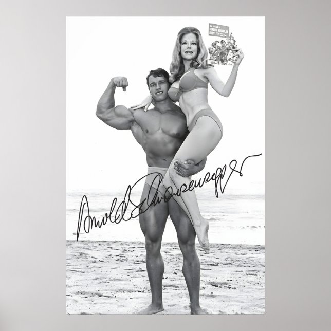 Poster Cartaz de Arnold Schwarzenegger - Arte da Capa de  (Frente)