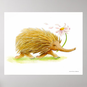 Poster Cartaz de arte com aquarela caprichosa de equidna