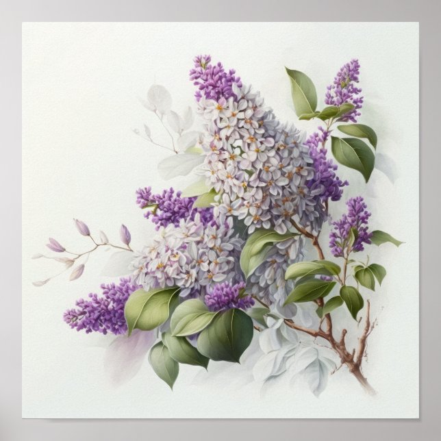 Poster Cartaz de Arte com Flores de Lilás (Frente)