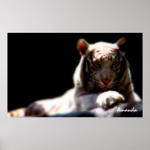 Poster Cartaz de Arte da Vida Selvagem do Tigre Branco