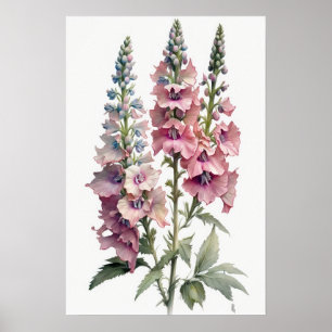 Poster Cartaz de Arte de Flor de Delphinium Rosa