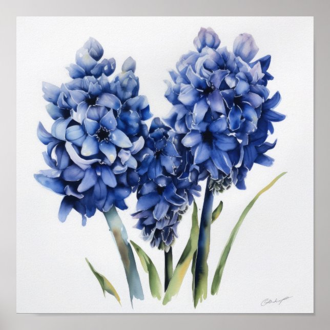 Poster Cartaz de Arte de Flor de Jacinto Azul (Frente)