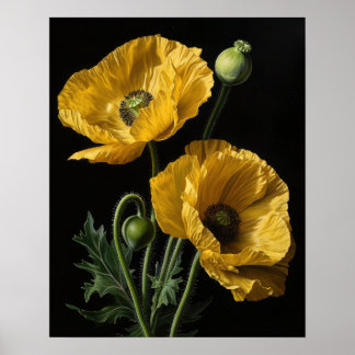 Poster Cartaz de Arte de Flores Amarelas de Papoula da Ca