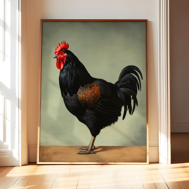 Poster Cartaz de Arte de Frango Australorp, Pássaro Vinta (Criador carregado)