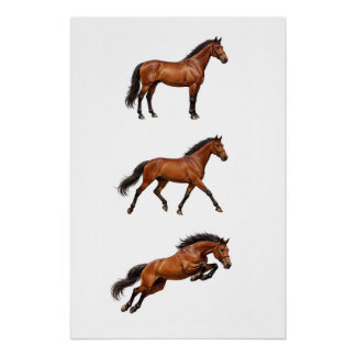 Pôster Cartaz de Arte de Parede de Cavalo Marrom Elegante