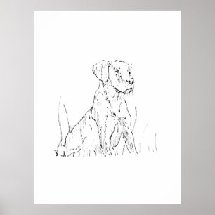 Poster Cartaz de Arte de Parede do Golden Retriever, Ilus