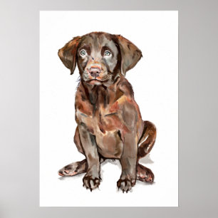 Poster Cartaz de Arte de Parede do Labrador Retriever, Pr
