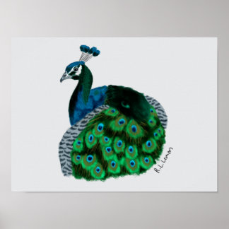 Poster Cartaz de Arte de Pavão Elegante