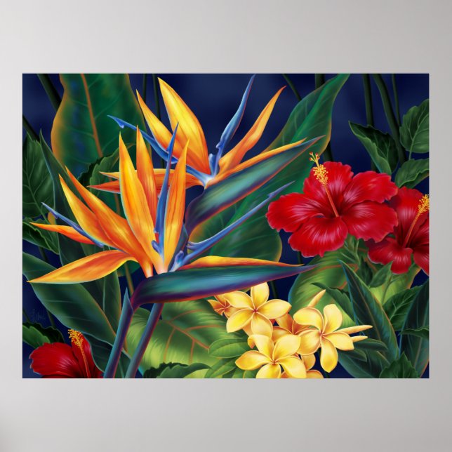 Pôster Cartaz de Arte Fina Paraíso Tropical (Frente)