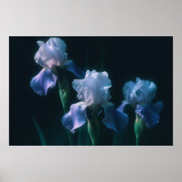 Poster Cartaz de Arte Floral Íris Azul