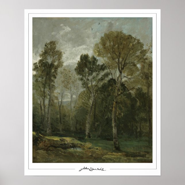 Poster Cartaz de Arte John Constable Zedign #158 (Frente)