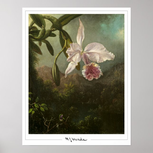 Poster Cartaz de Arte Zedign de Martin Johnson Heade #2 (Frente)