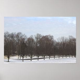 Poster Cartaz de Árvores na Neve
