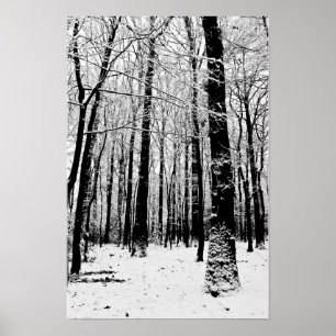 Poster Cartaz de Árvores Pretas e Brancas no Inverno