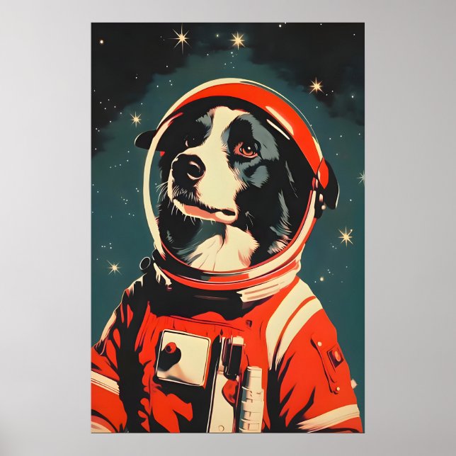 Poster Cartaz de Astronauta Border Collie, Border Collie (Frente)