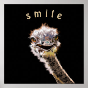 Poster Cartaz de avestruz engraçado com sorriso cor ou te