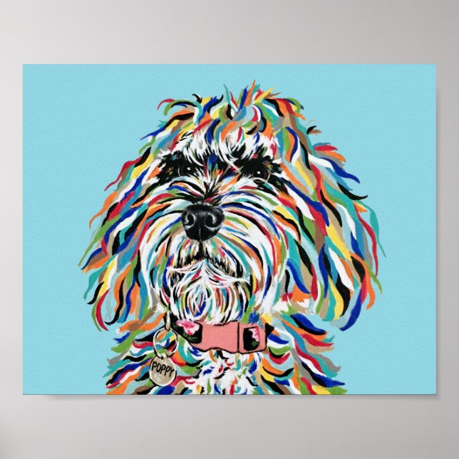 Poster Cartaz de Bernedoodle (Frente)