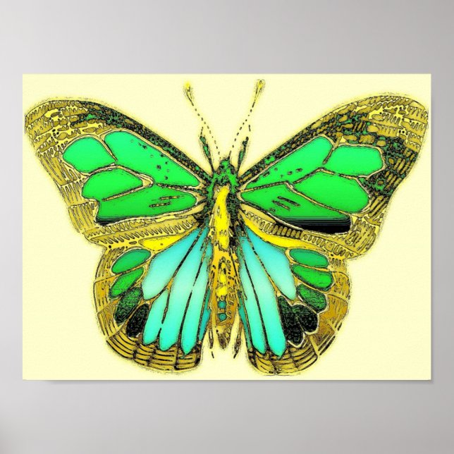 Pôster Cartaz de Borboleta (Frente)