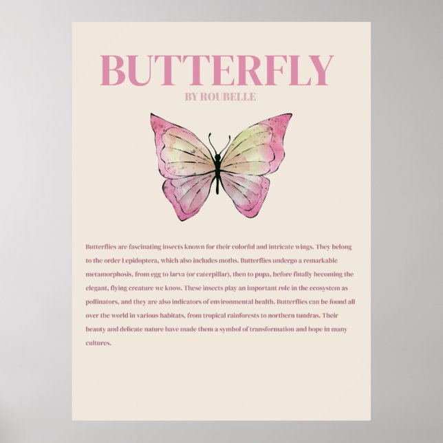 Poster Cartaz de Borboleta (Frente)